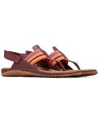 Sorel Women's Out N About Sandals Elderberry